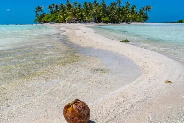 Que faire à Rangiroa ?